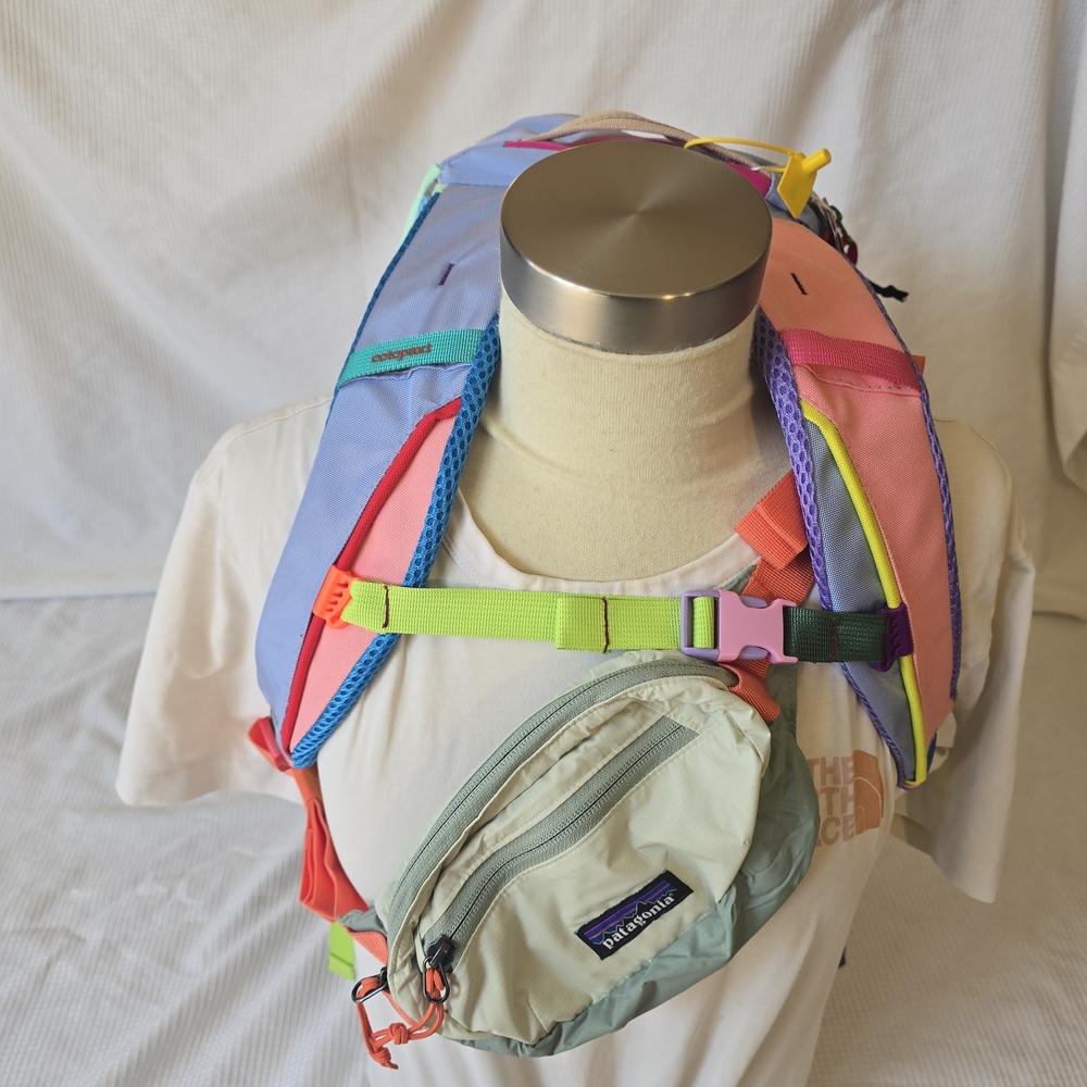 Cotopaxi Allpa 20 + Patagonia Terravia Mini Hip Pack Travel Bundle Set - Picture 2 of 8